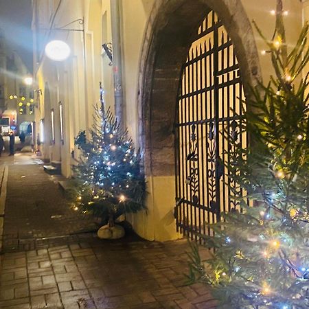 Cozy Oldtown Studio With Magnific City View 塔林 外观 照片