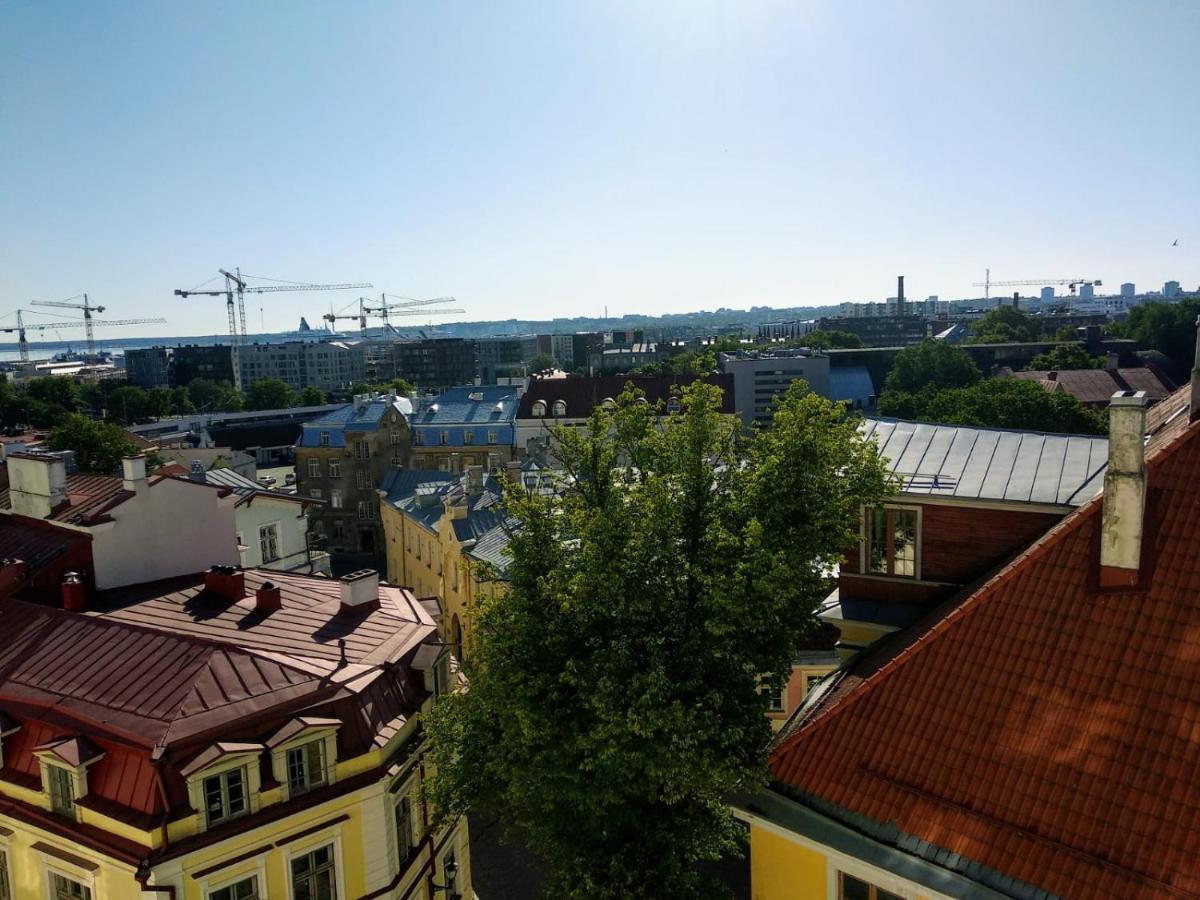 Cozy Oldtown Studio With Magnific City View 塔林 外观 照片