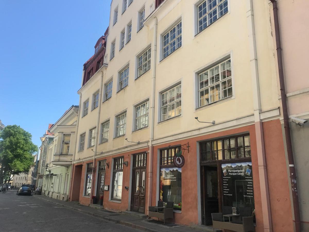 Cozy Oldtown Studio With Magnific City View 塔林 外观 照片