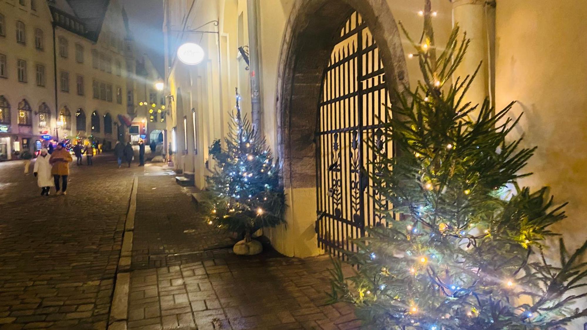 Cozy Oldtown Studio With Magnific City View 塔林 外观 照片